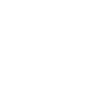 Una solida rete di dealer certificati