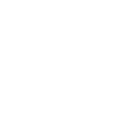 Una solida rete di dealer certificati