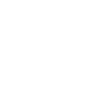 Una solida rete di dealer certificati